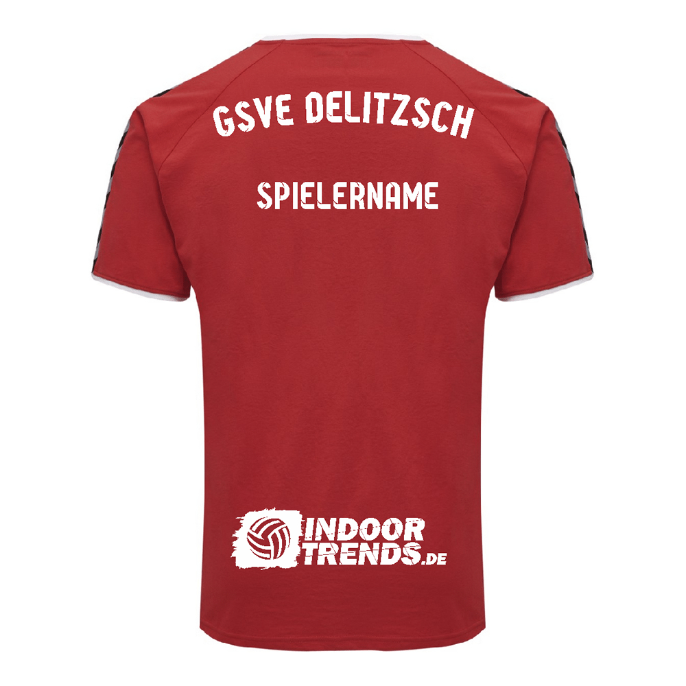 GSVE Delitzsch Trainingsshirt